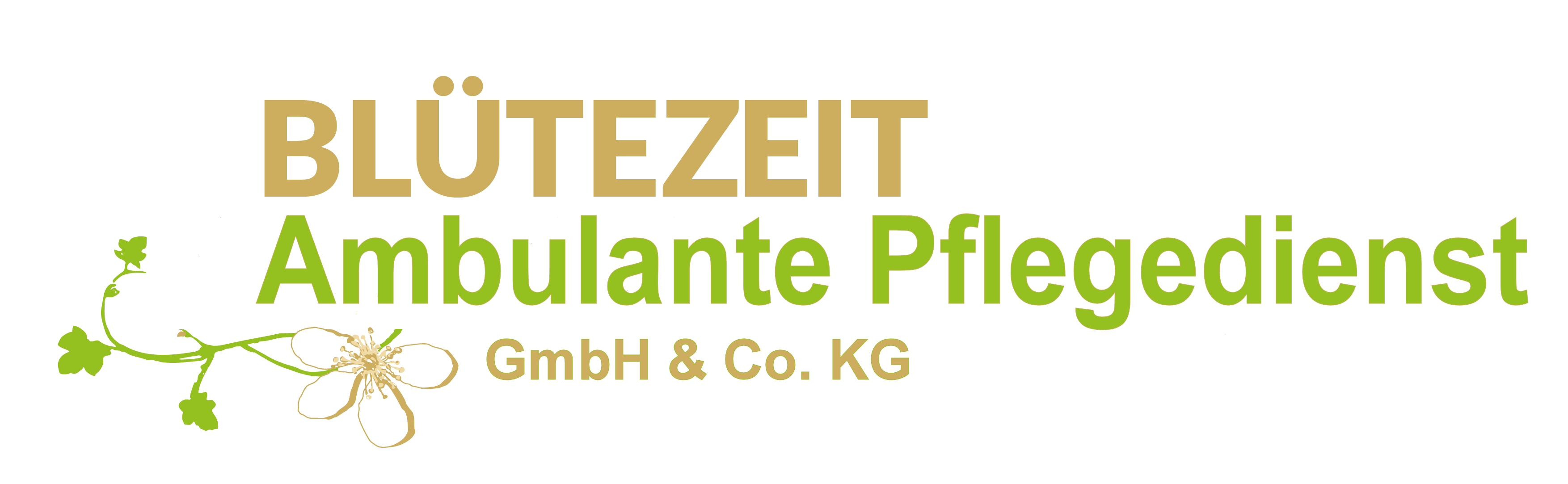 Blütezeit Ambulante Pflegedienst GmbH + Co. KG